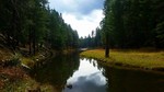 photo thumbnail #2
