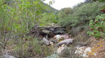 photo thumbnail #7