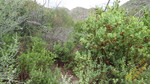photo thumbnail #8