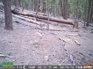 photo thumbnail #5