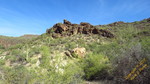 photo thumbnail #8