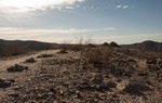 photo thumbnail #15