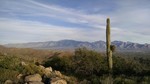 photo thumbnail #3