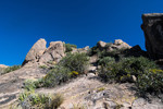 photo thumbnail #12