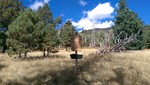 photo thumbnail #1