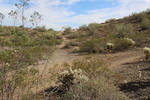 photo thumbnail #3