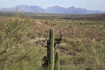 photo thumbnail #4