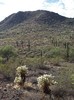 photo thumbnail #7