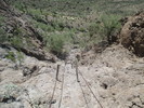 photo thumbnail #5