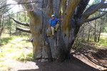 photo thumbnail #7