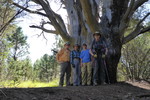 photo thumbnail #8