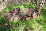 photo thumbnail #11