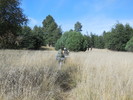 photo thumbnail #3
