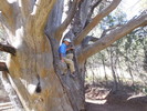 photo thumbnail #4