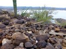 2015-10-28 :1: Black Plus AT-6 Wreck Site :: FLYING_FLIVER