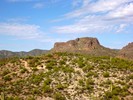 2015-10-29 :1: Bomboy Mine & Roblas Canyon :: kingsnake