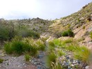 photo thumbnail #12