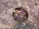 photo thumbnail #13