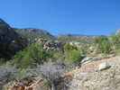 photo thumbnail #2