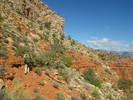 photo thumbnail #12