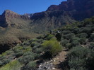 photo thumbnail #1