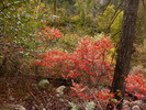 photo thumbnail #12