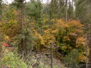 photo thumbnail #14