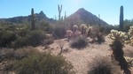 photo thumbnail #3