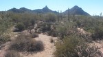 photo thumbnail #5