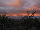 photo thumbnail #3