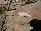 photo thumbnail #7