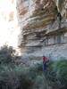 photo thumbnail #14
