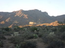 photo thumbnail #2