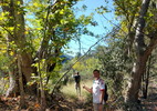 photo thumbnail #2