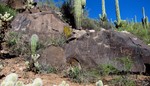 photo thumbnail #13