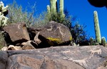 photo thumbnail #15