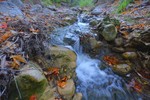 photo thumbnail #1