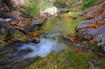 photo thumbnail #15