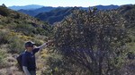 photo thumbnail #3