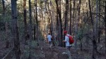 photo thumbnail #12