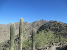 photo thumbnail #1