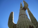 photo thumbnail #4