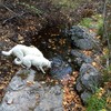 photo thumbnail #1
