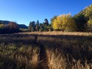 photo thumbnail #3