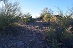 photo thumbnail #3