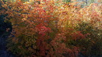 photo thumbnail #14