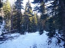 photo thumbnail #1