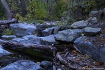 photo thumbnail #1