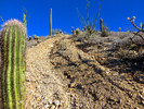 photo thumbnail #2