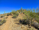 photo thumbnail #7